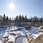 Assiniboine Park Zoo - Polar Bear Rehabilitation Enclosure